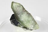 Green Olivine Peridot Crystal Cluster with Magnetite - Pakistan #183964-3